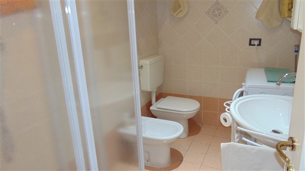 DSC07234 (600 x 337)