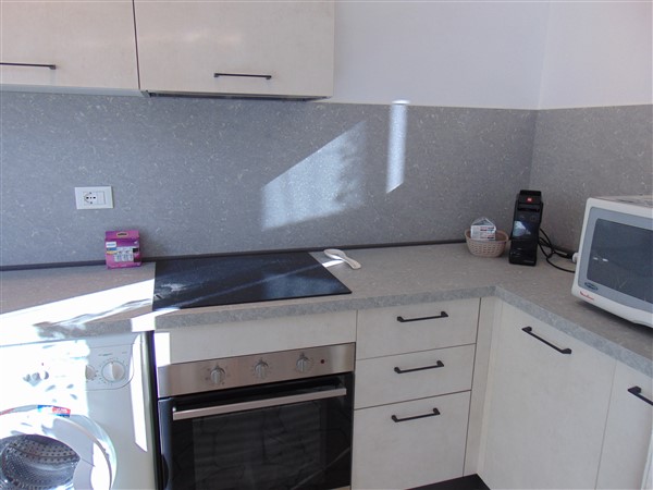 DSC08824 (600 x 450)