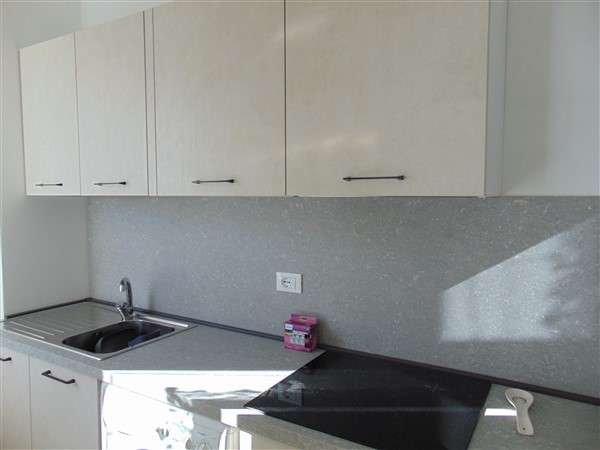 DSC08825 (600 x 450)