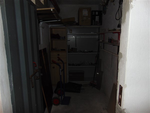 DSC08926 (600 x 450)