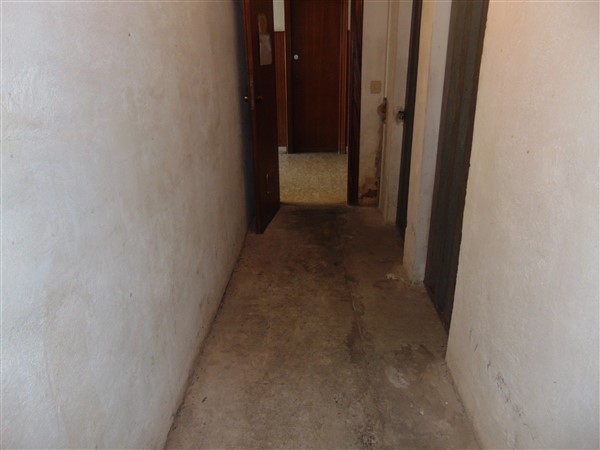 DSC08927 (600 x 450)