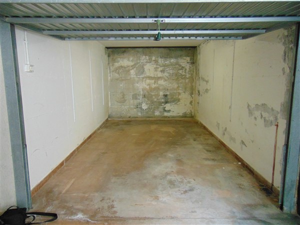 DSC09522 (600 x 450)