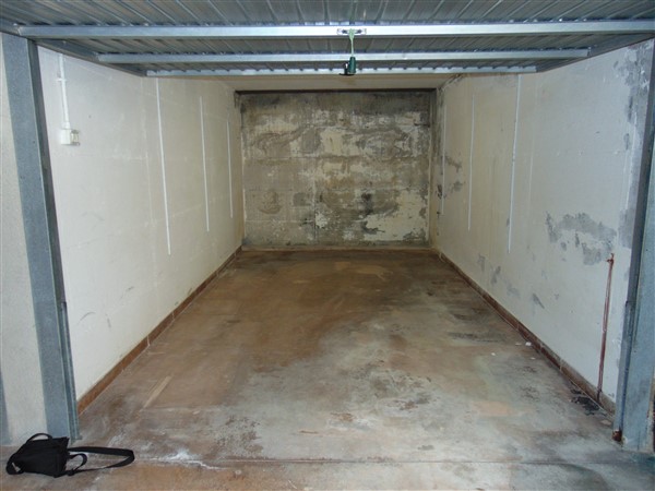 DSC09523 (600 x 450)