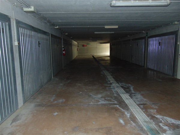 DSC09524 (600 x 450)