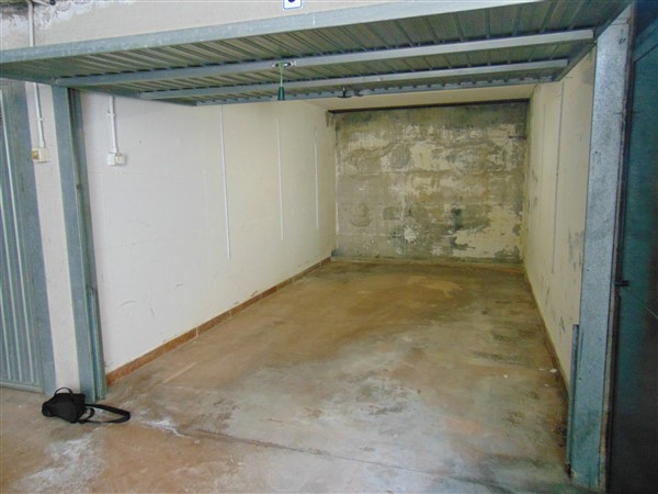 DSC09526 (600 x 450)