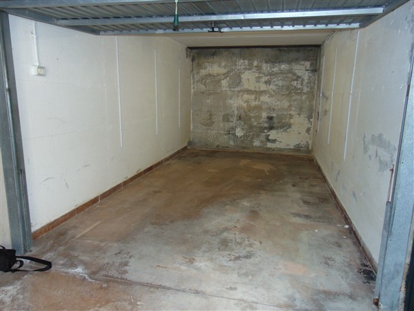 DSC09528 (600 x 450)