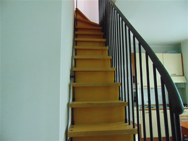 DSC09553 (600 x 450)