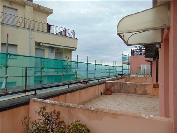 DSC09562 (600 x 450)